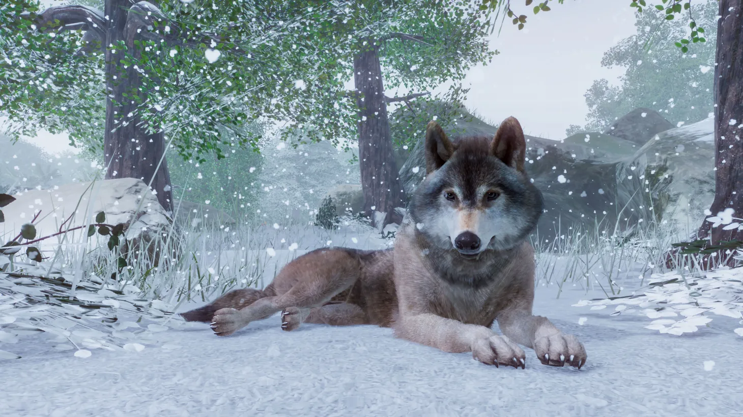 Five Reasons Planet Zoo Is Promising