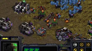 Search