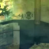 Lost in Shadow