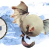 Game Informer